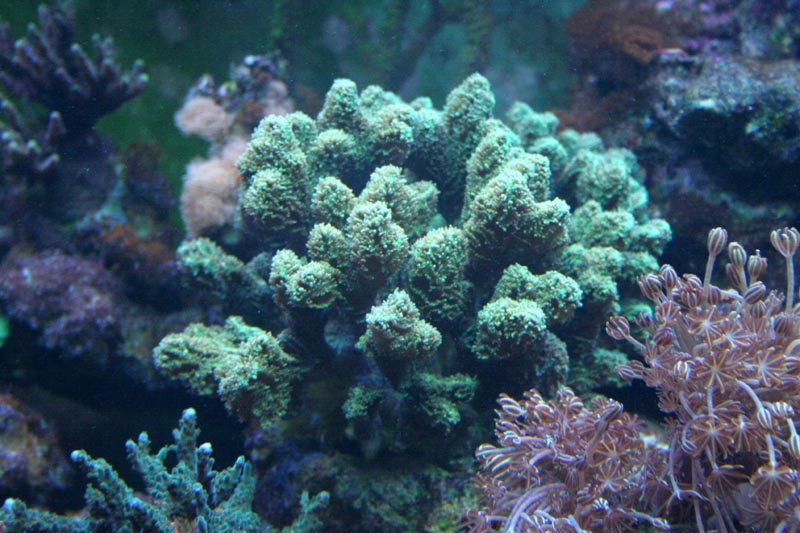 Killikus&reg; Fotographie